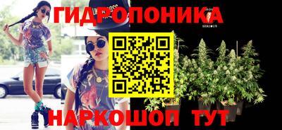 дживик Сланцы