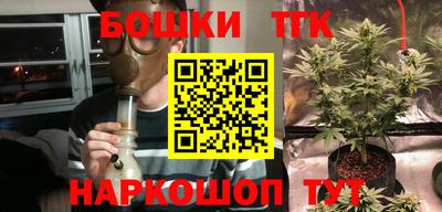 шишки Ставрополь