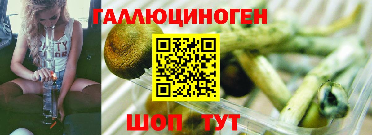 Галлюциногенные грибы Magic Shrooms Полевской